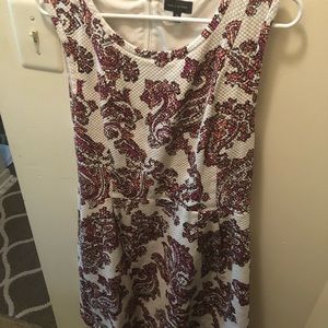 The Limited Dress Size 16
